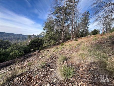 9457 Fox Drive Cobb CA 95426