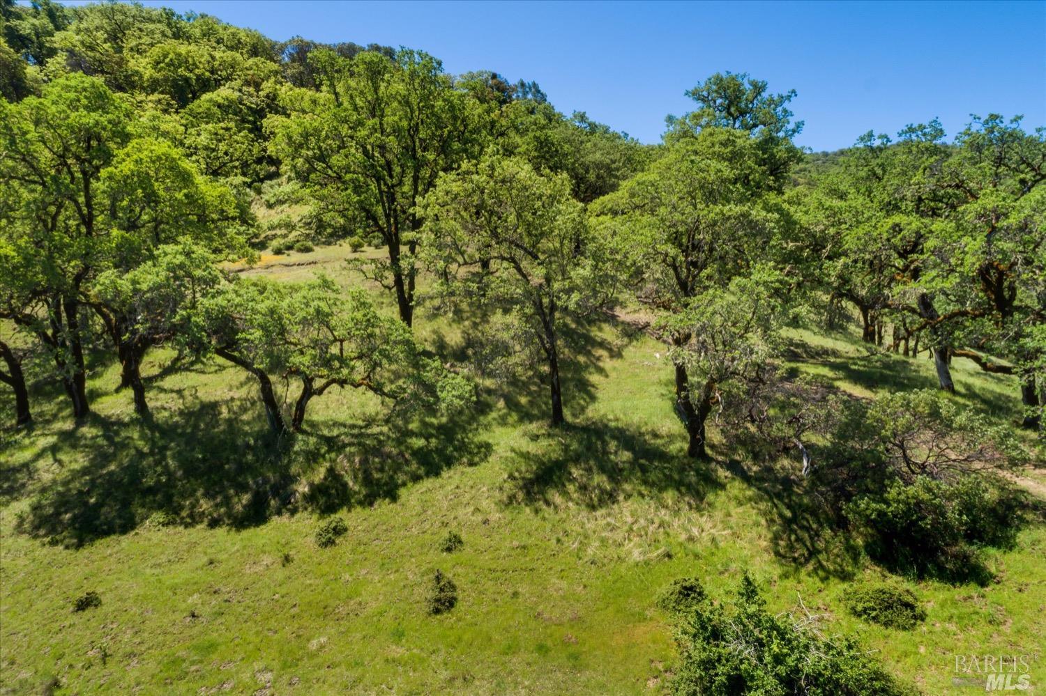 6870 County Road 110 Hopland CA 95449