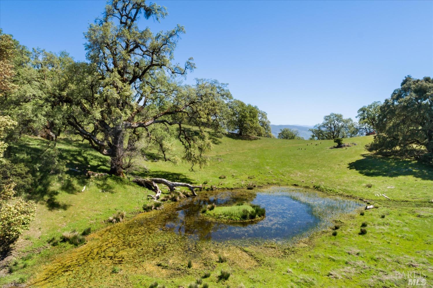 6870 County Road 110 Hopland CA 95449