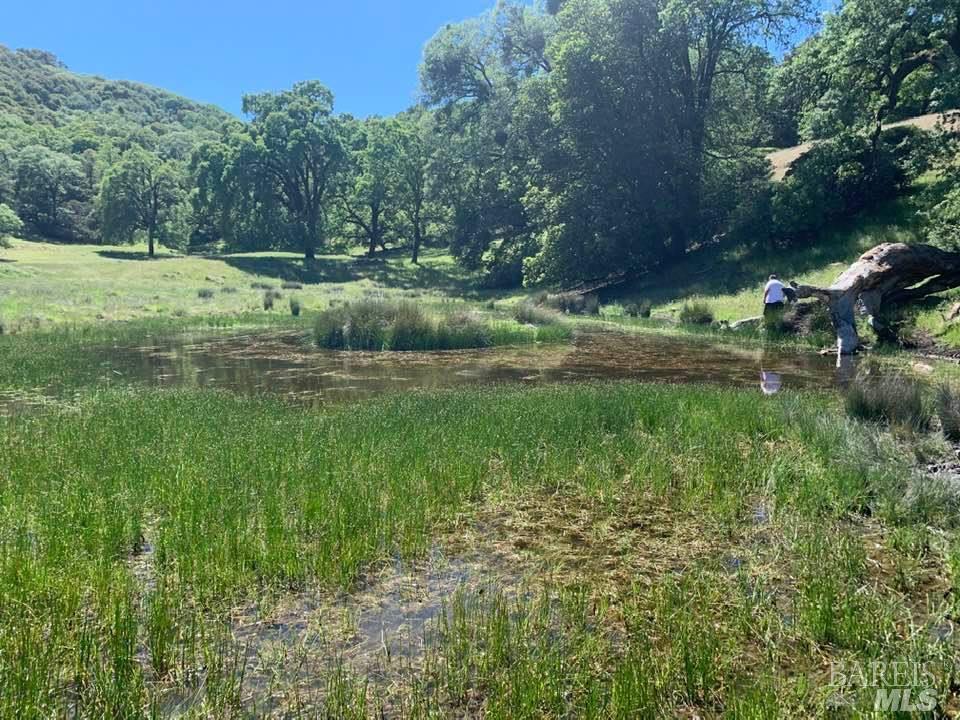 6870 County Road 110 Hopland CA 95449