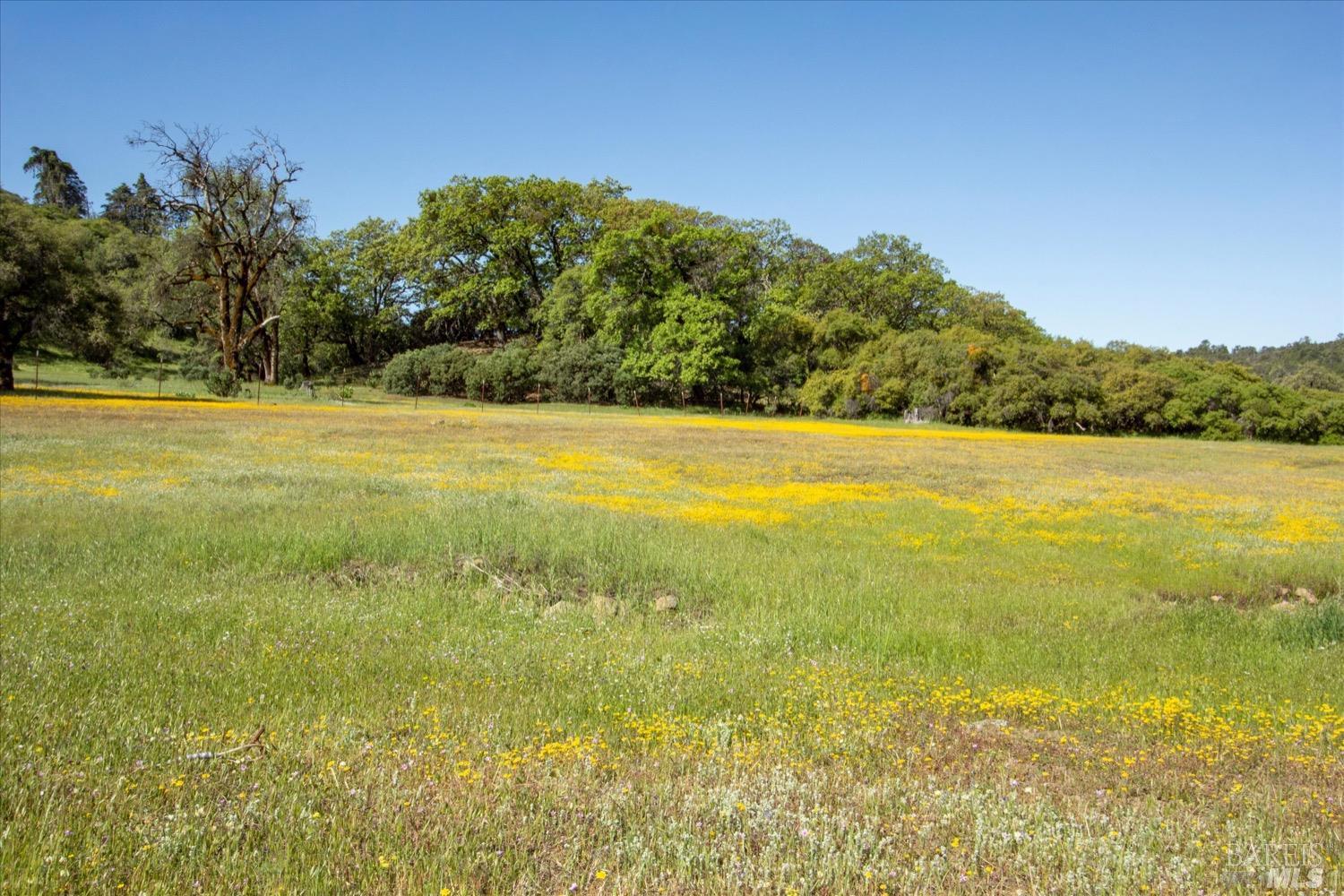 6870 County Road 110 Hopland CA 95449
