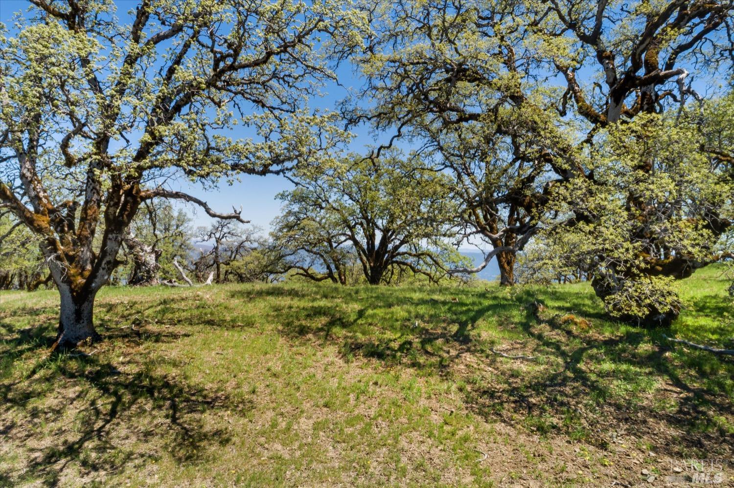 6870 County Road 110 Hopland CA 95449
