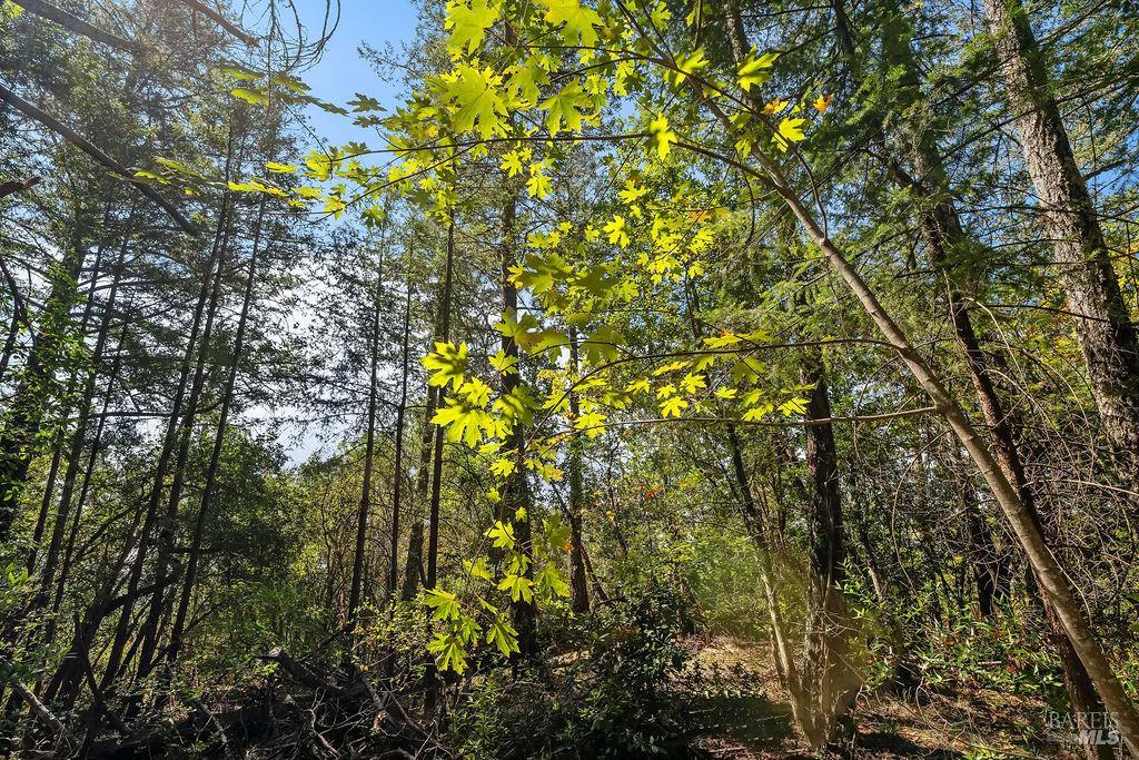 3360 Calistoga Road Santa Rosa CA 95404