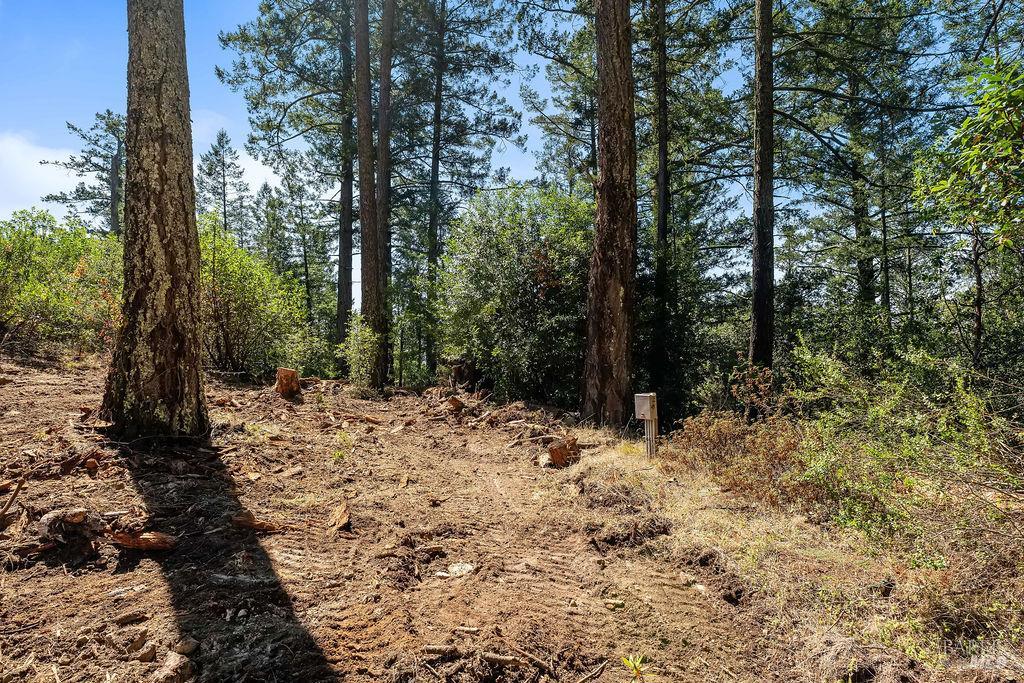 3360 Calistoga Road Santa Rosa CA 95404