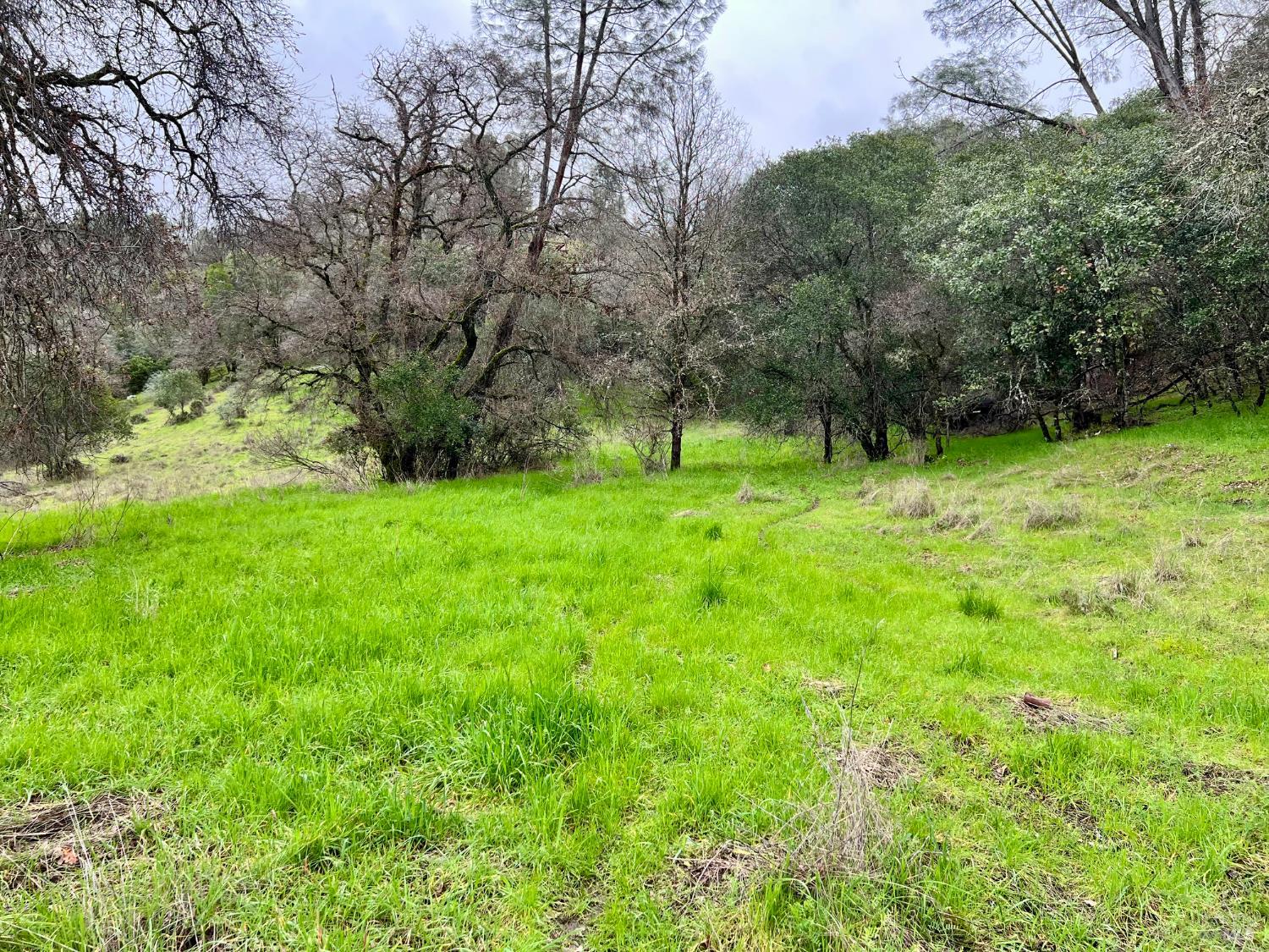 6590 Hotel Road Lucerne CA 95458