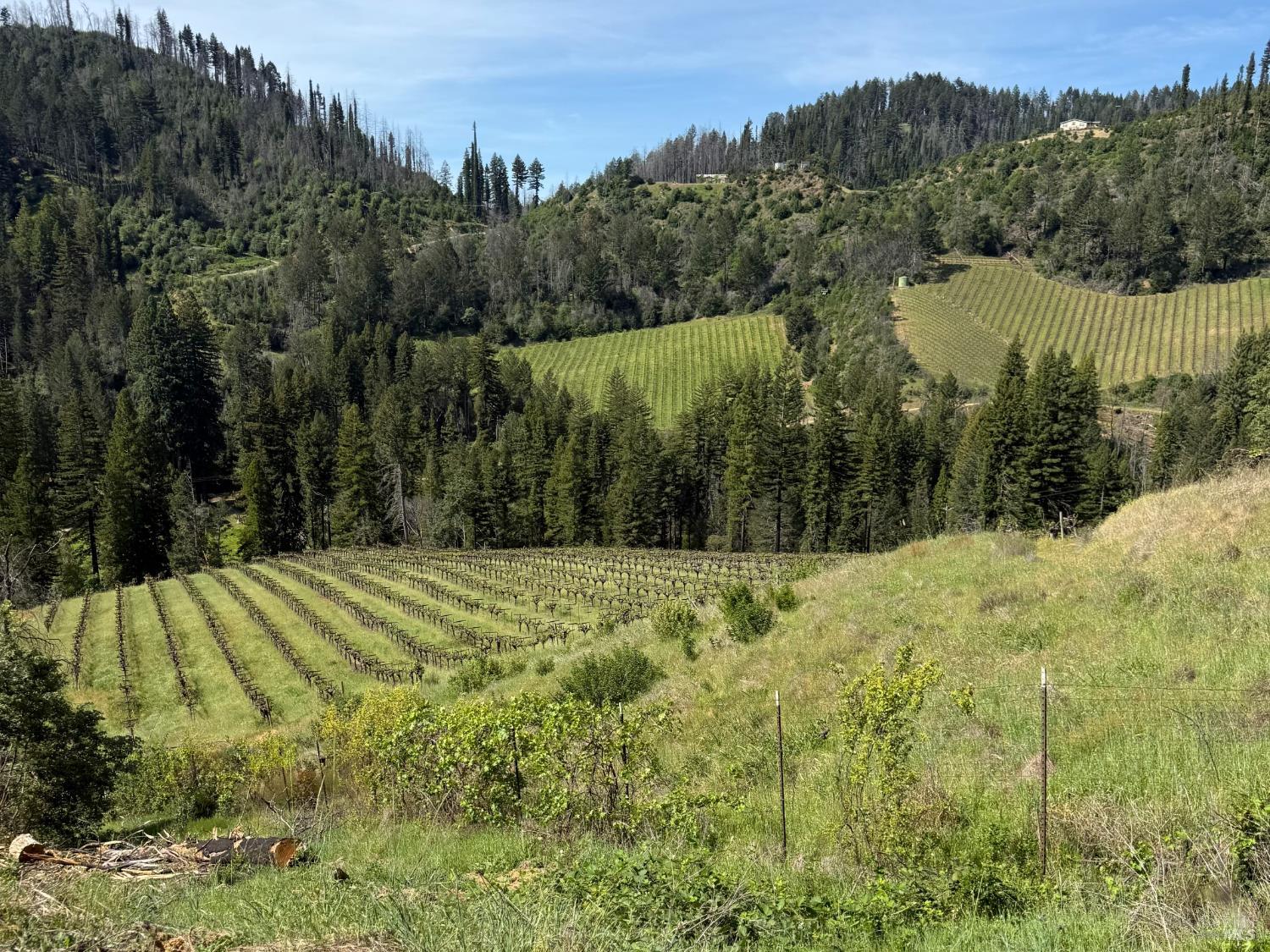 8717 Mill Creek Road Healdsburg CA 95448