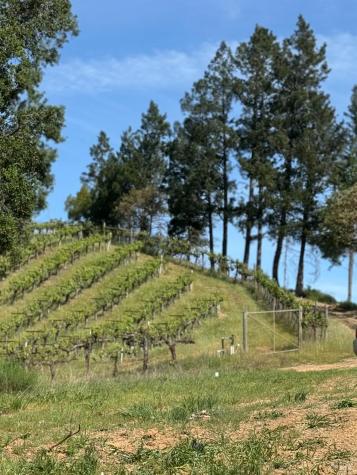 8707 Mill Creek Road Healdsburg CA 95448