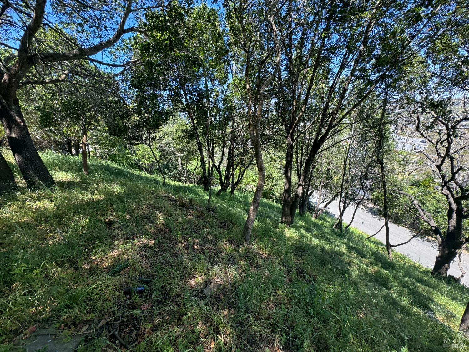 0 Meadowsweet Drive Corte Madera CA 94925