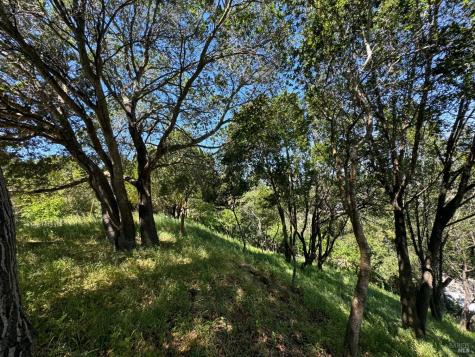 0 Meadowsweet Drive Corte Madera CA 94925