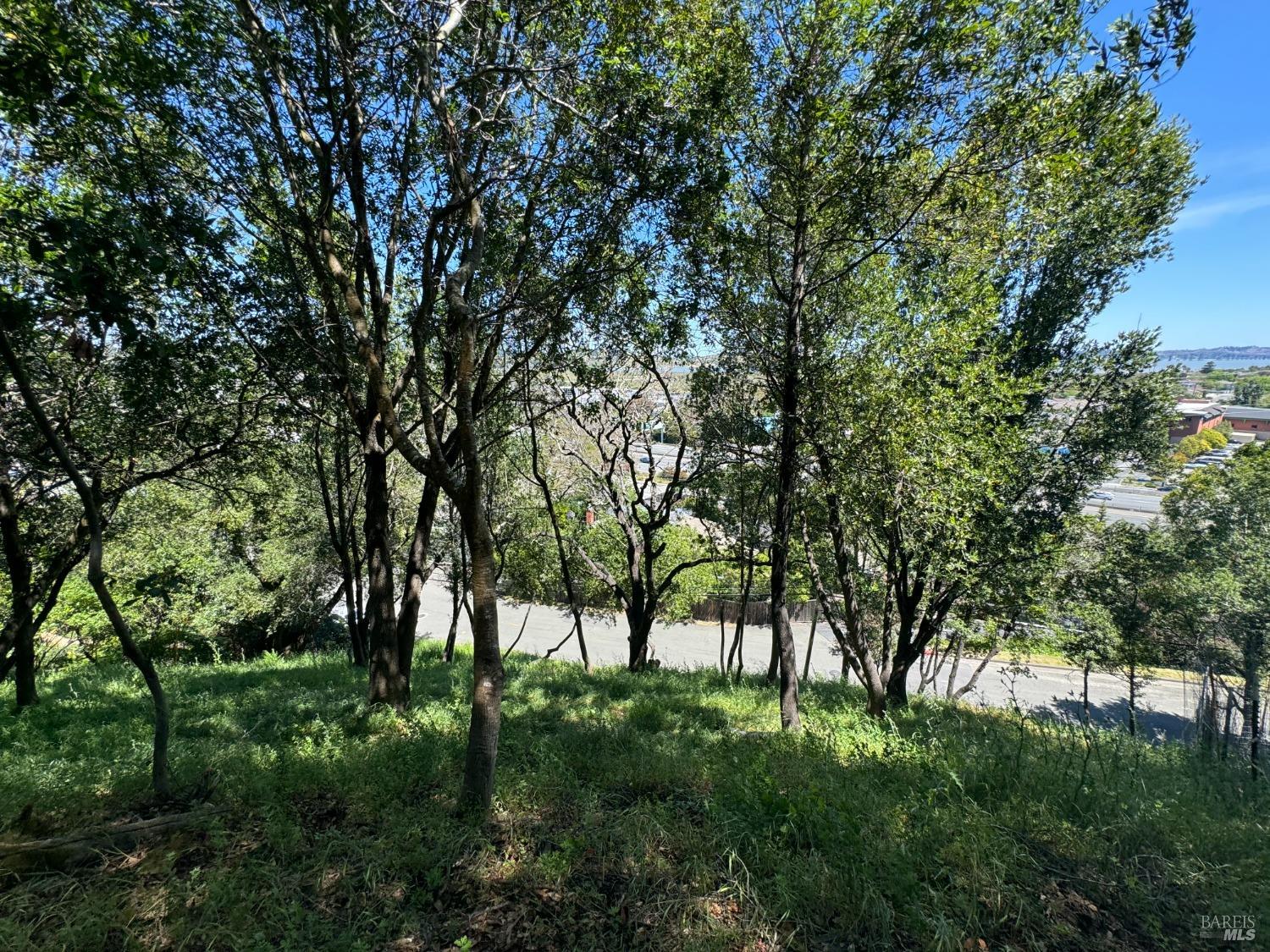 0 Meadowsweet Drive Corte Madera CA 94925