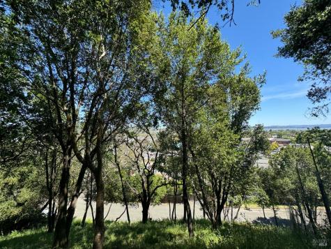 0 Meadowsweet Drive Corte Madera CA 94925