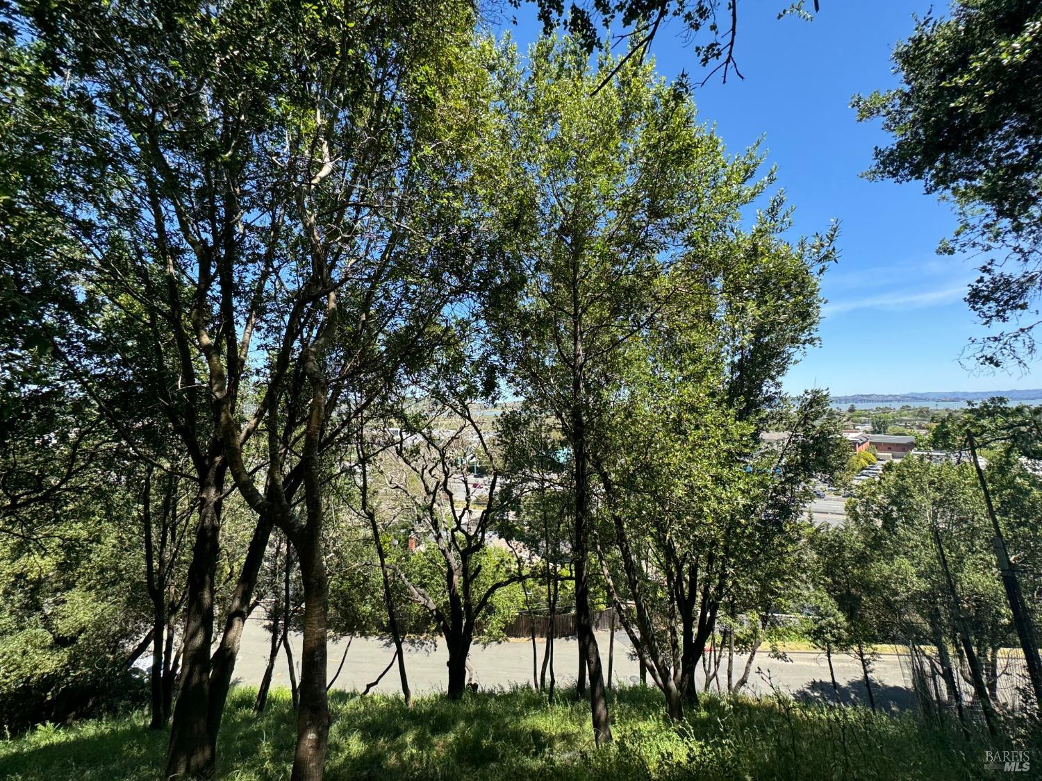 0 Meadowsweet Drive Corte Madera CA 94925