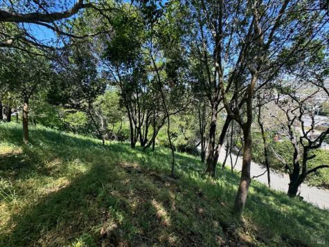 0 Meadowsweet Drive Corte Madera CA 94925