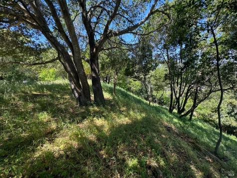 0 Meadowsweet Drive Corte Madera CA 94925