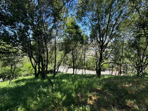 0 Meadowsweet Drive Corte Madera CA 94925