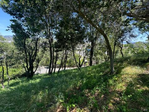 0 Meadowsweet Drive Corte Madera CA 94925