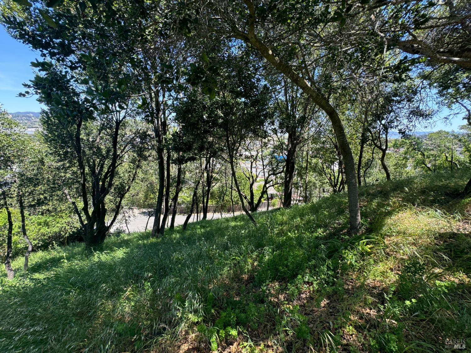 0 Meadowsweet Drive Corte Madera CA 94925
