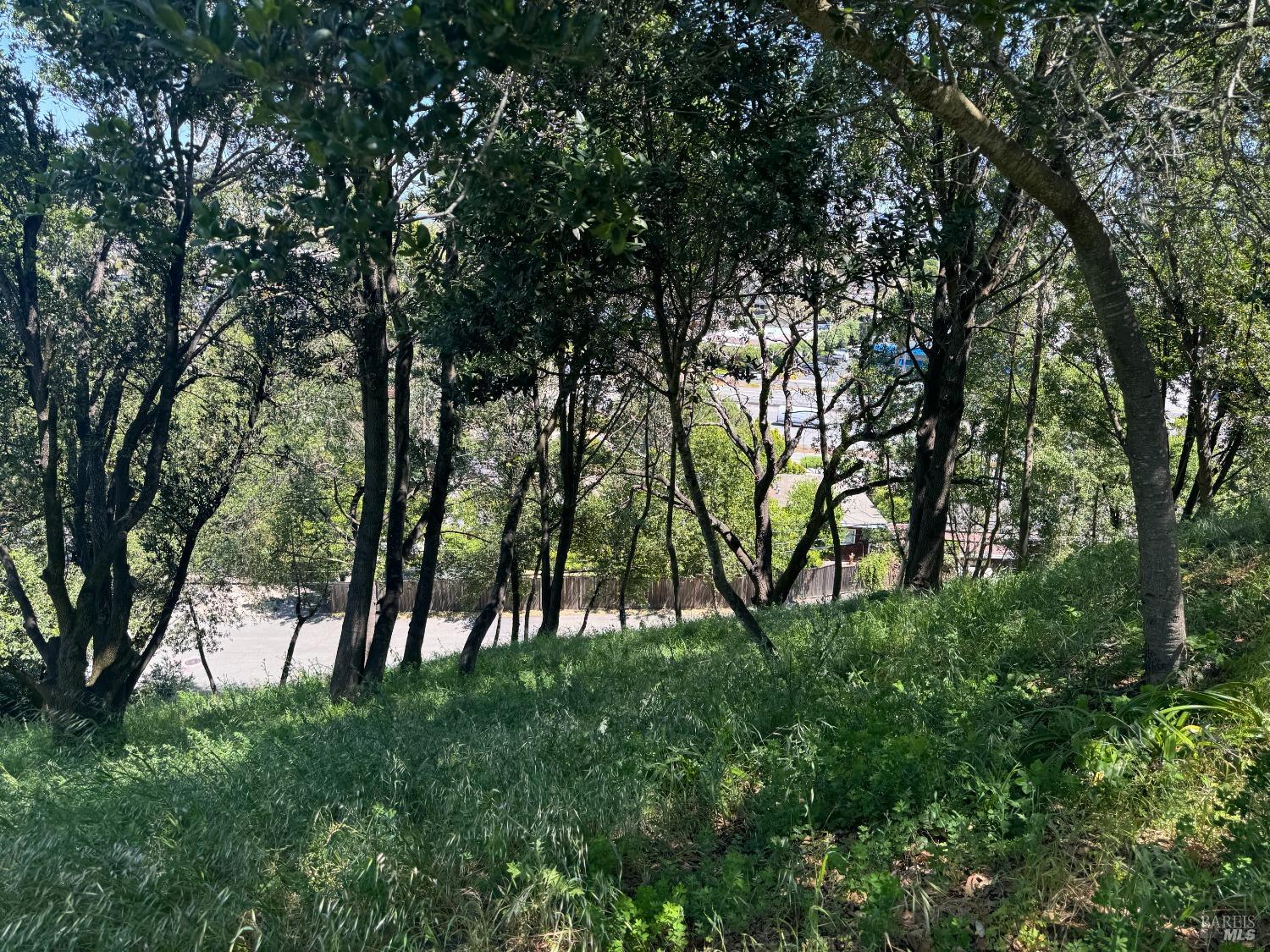0 Meadowsweet Drive Corte Madera CA 94925