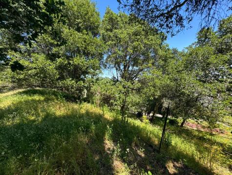 0 Meadowsweet Drive Corte Madera CA 94925