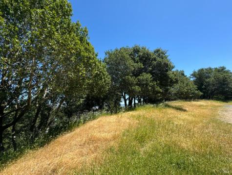 0 Meadowsweet Drive Corte Madera CA 94925