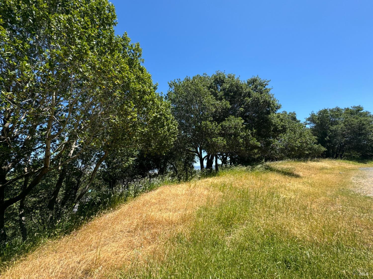 0 Meadowsweet Drive Corte Madera CA 94925