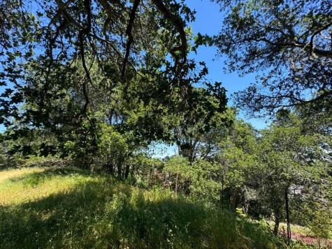 0 Meadowsweet Drive Corte Madera CA 94925