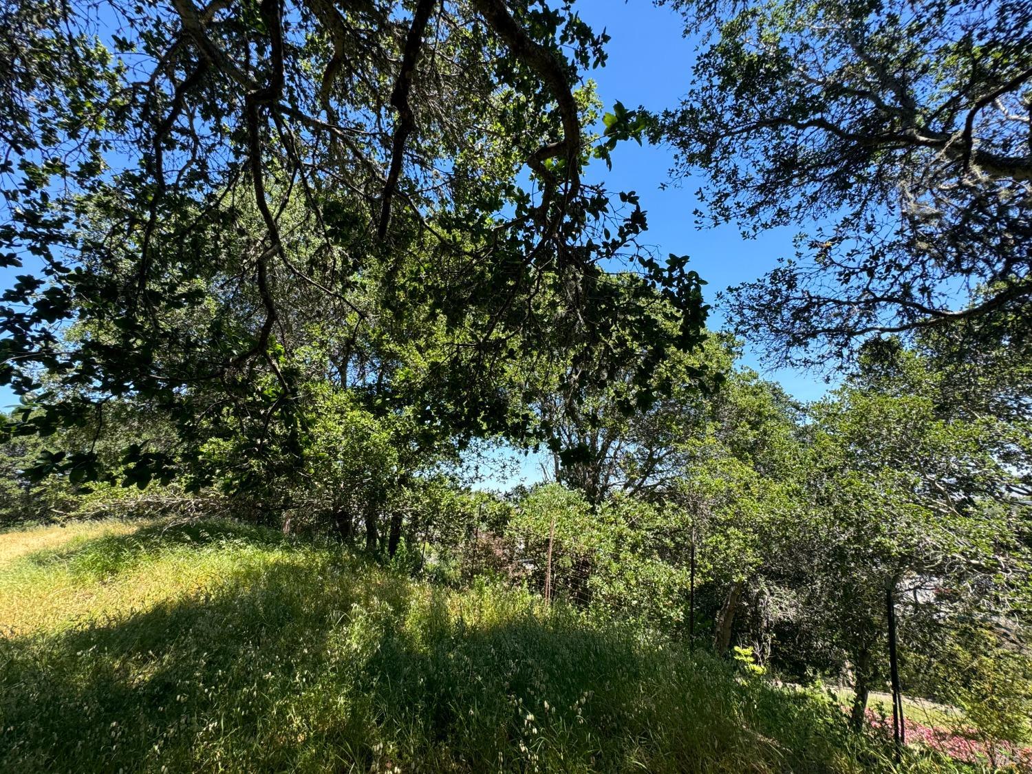0 Meadowsweet Drive Corte Madera CA 94925