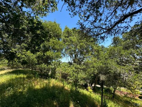 0 Meadowsweet Drive Corte Madera CA 94925