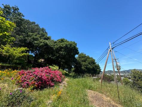 0 Meadowsweet Drive Corte Madera CA 94925