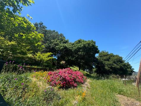 0 Meadowsweet Drive Corte Madera CA 94925
