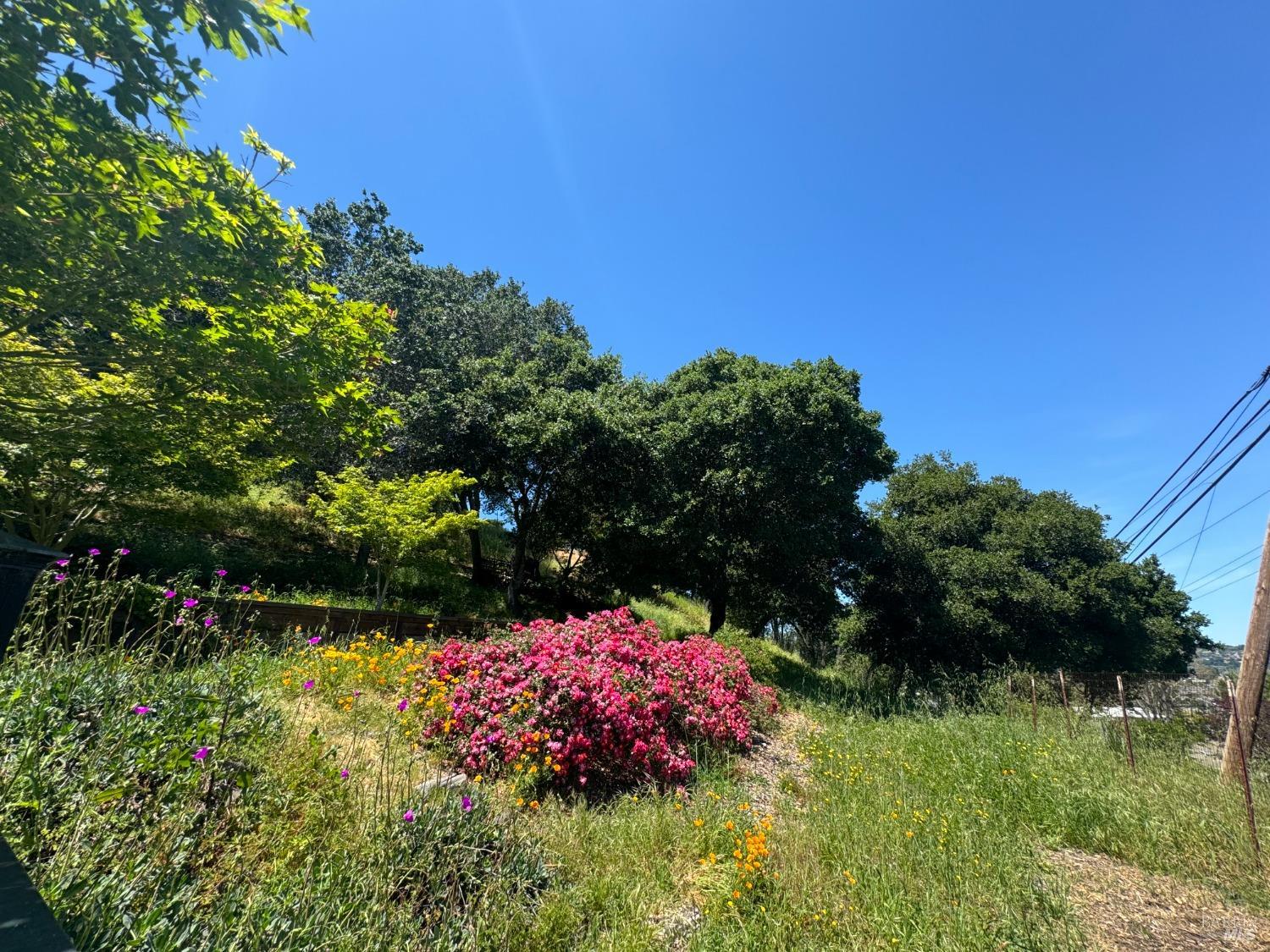 0 Meadowsweet Drive Corte Madera CA 94925