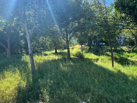0 Meadowsweet Drive Corte Madera CA 94925