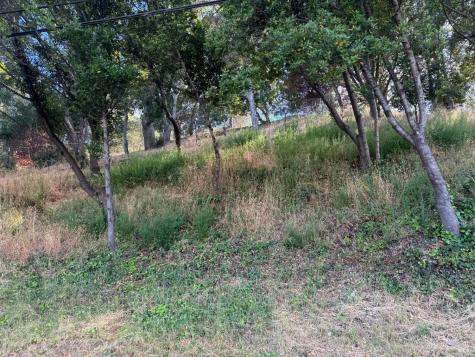0 Meadowsweet Drive Corte Madera CA 94925