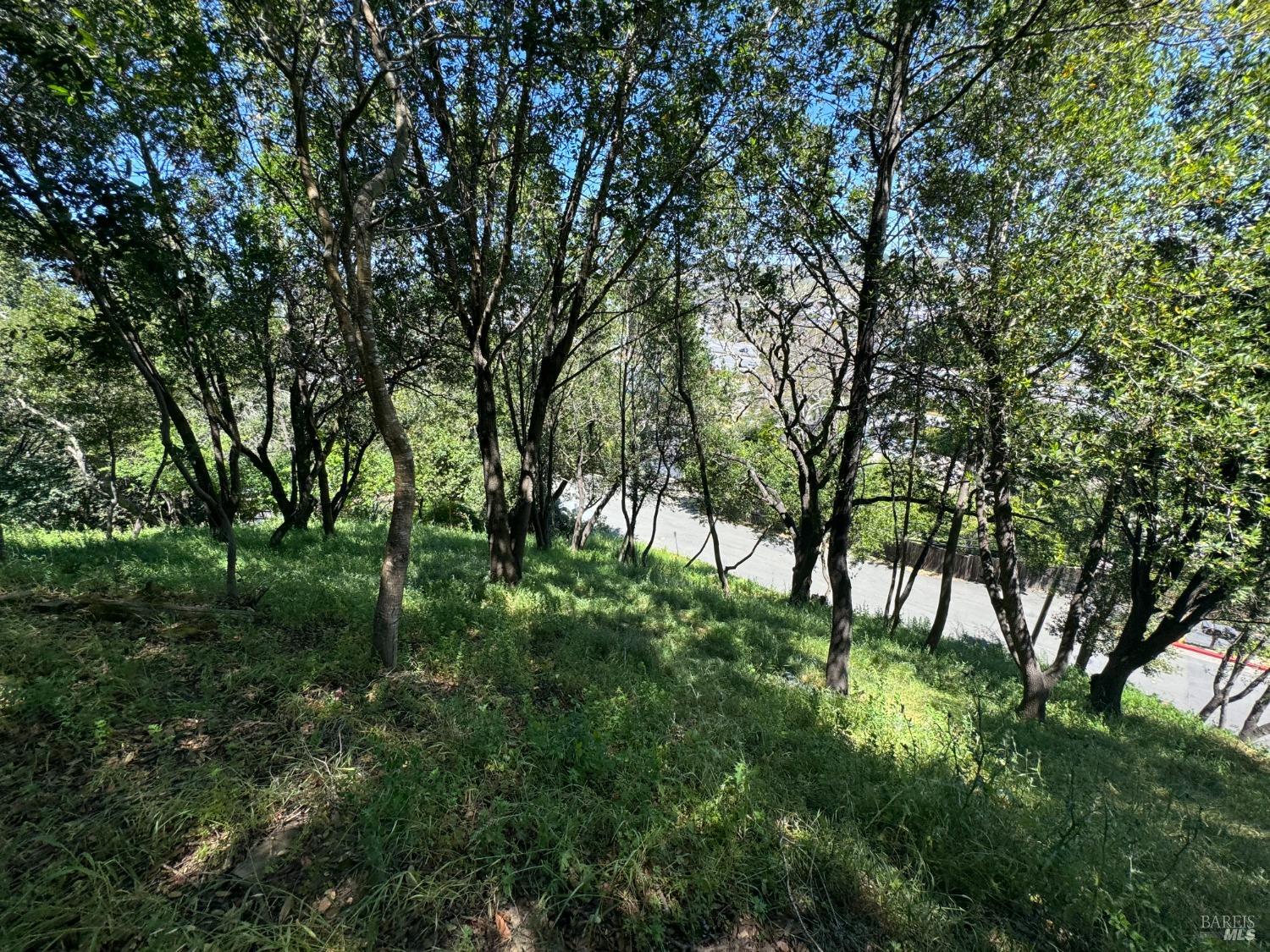 0 Meadowsweet Drive Corte Madera CA 94925