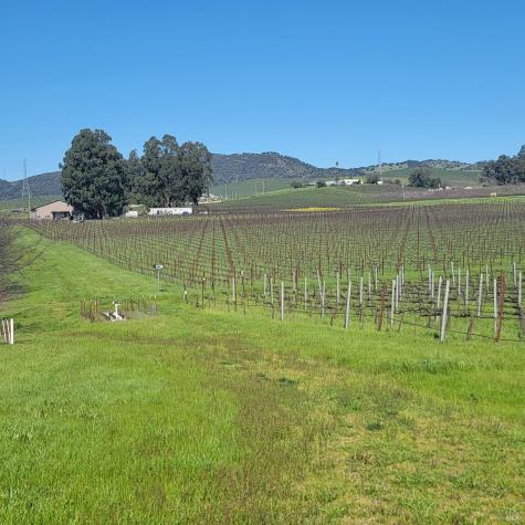 23300-23500 23300 & 23500 Ramal Road Sonoma CA 95476