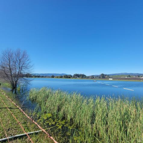 23300-23500 23300 & 23500 Ramal Road Sonoma CA 95476