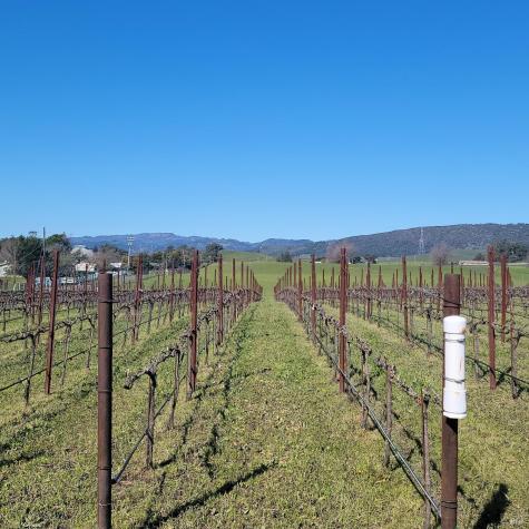 23300-23500 23300 & 23500 Ramal Road Sonoma CA 95476