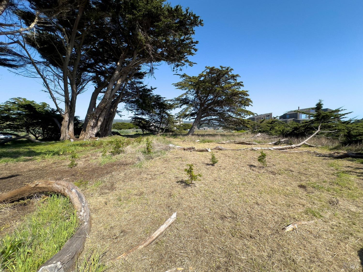 42179 Rock Cod The Sea Ranch CA 95497