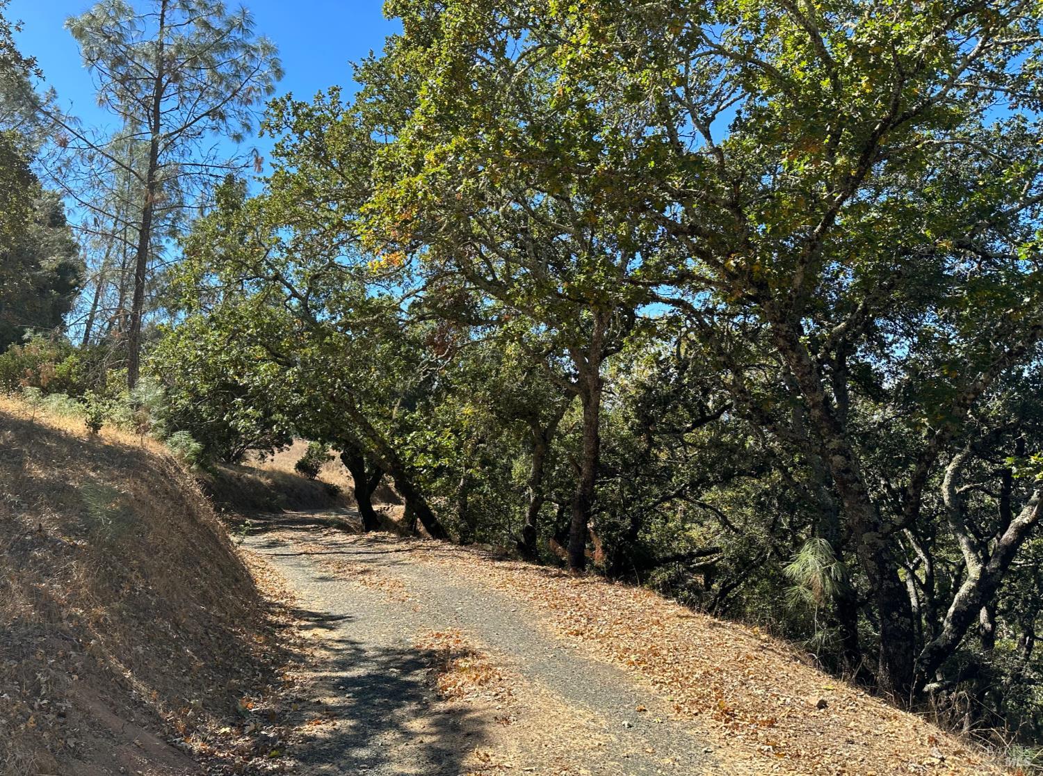 0 Hennessey Ridge Road St. Helena CA 94574