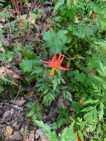 2100 Big Ridge Road Healdsburg CA 95448