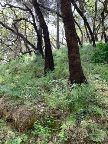 2100 Big Ridge Road Healdsburg CA 95448