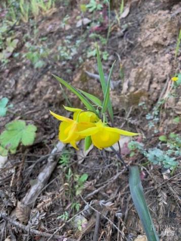 2100 Big Ridge Road Healdsburg CA 95448