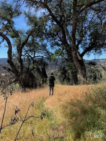 2100 Big Ridge Road Healdsburg CA 95448