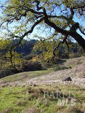 2100 Big Ridge Road Healdsburg CA 95448