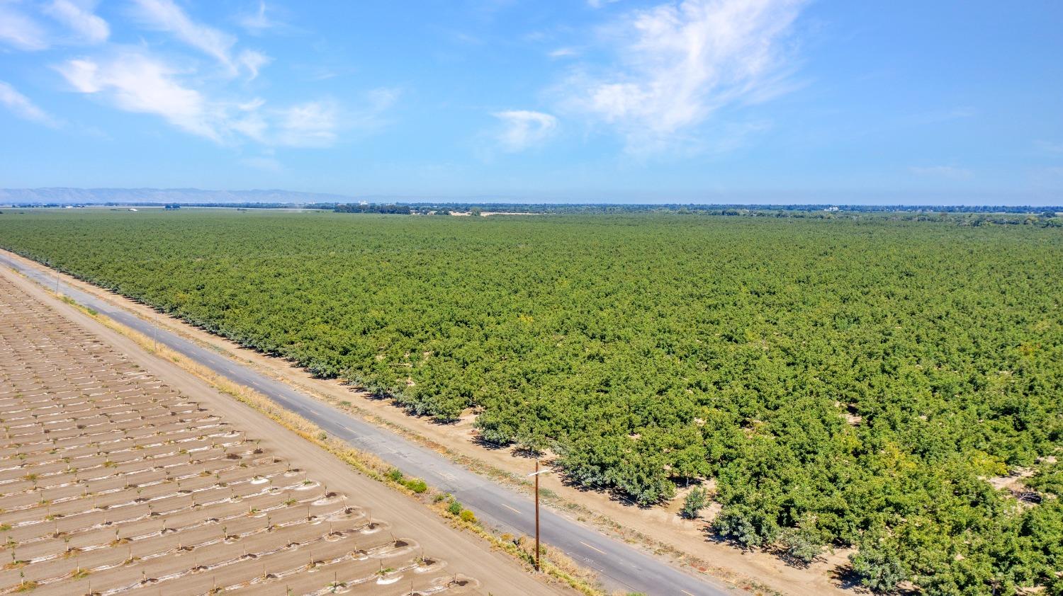45496 County Road 35 Davis CA 95618