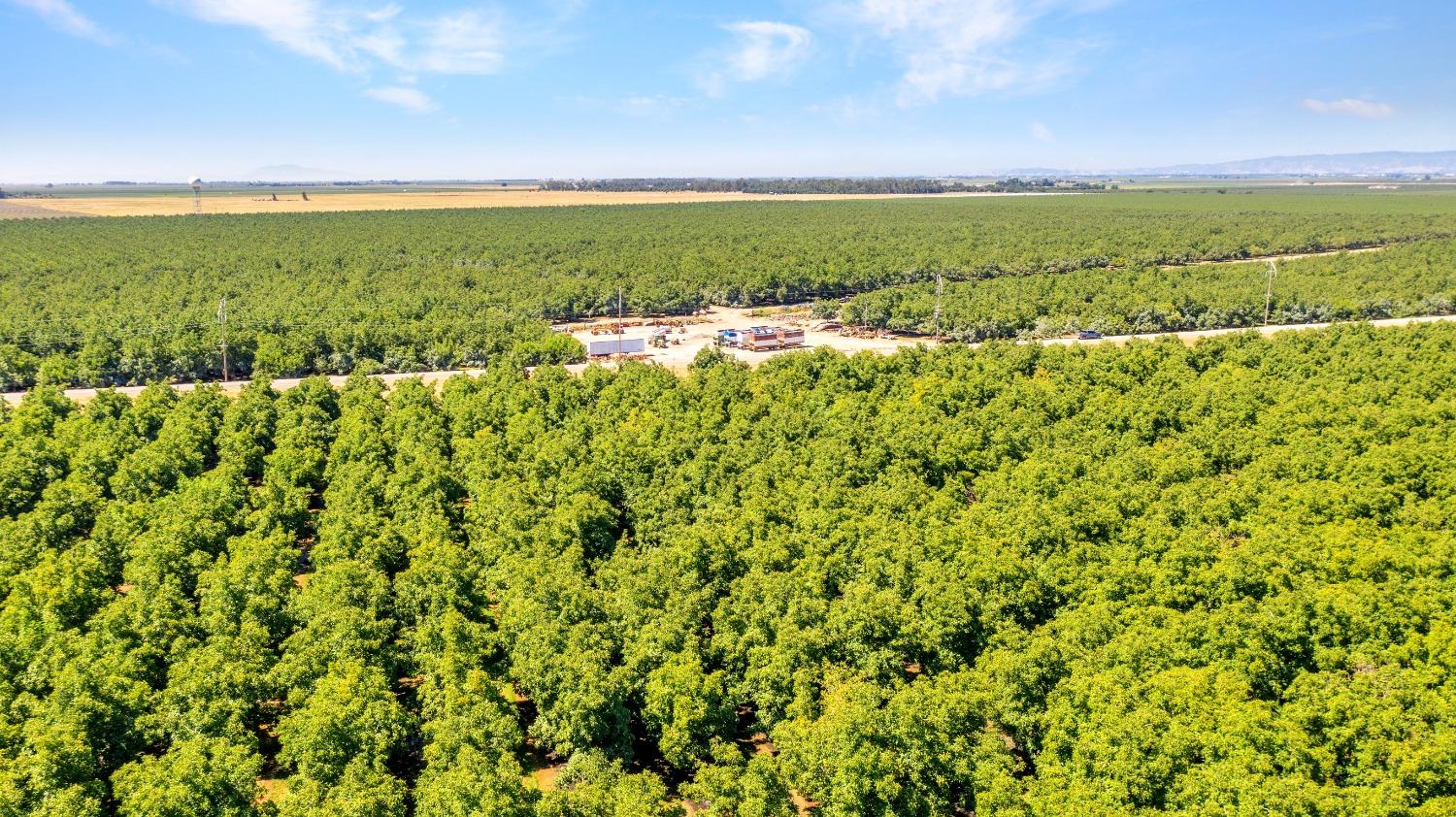 45496 County Road 35 Davis CA 95618