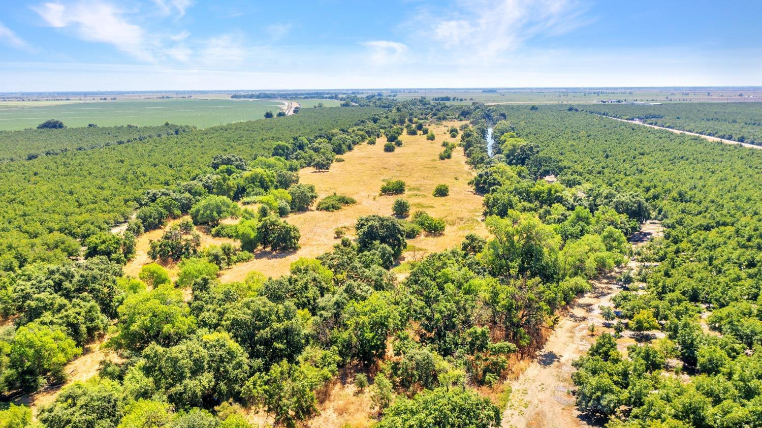 45496 County Road 35 Davis CA 95618