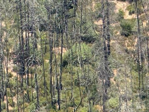 6300 Wildwood Mountain Road Santa Rosa CA 95409