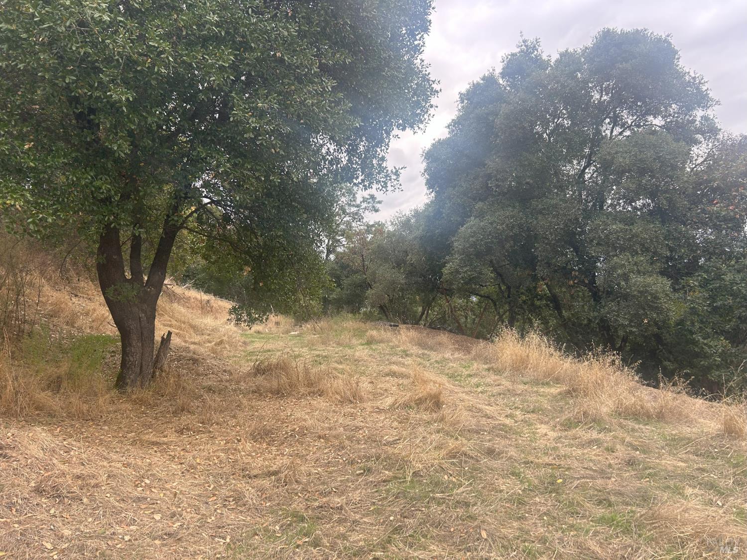 1320 Sanford Ranch Road Ukiah CA 95482