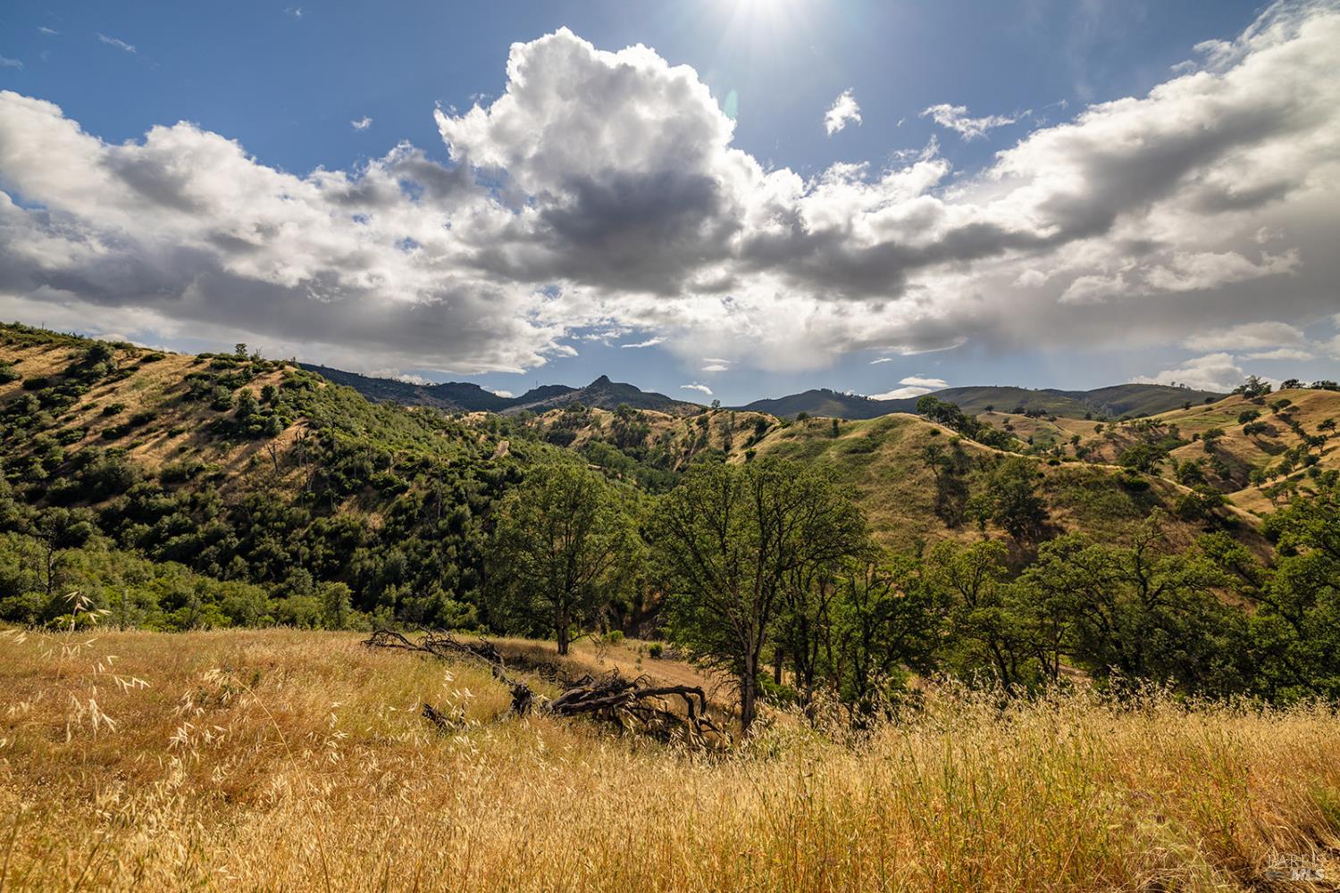17925 E Highway 20 Clearlake Oaks CA 95423